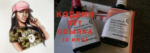 ПСИЛОЦИБИНОВЫЕ ГРИБЫ Михайлов