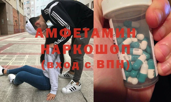 ПСИЛОЦИБИНОВЫЕ ГРИБЫ Михайлов