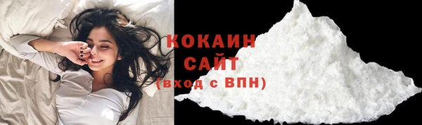 ПСИЛОЦИБИНОВЫЕ ГРИБЫ Михайлов