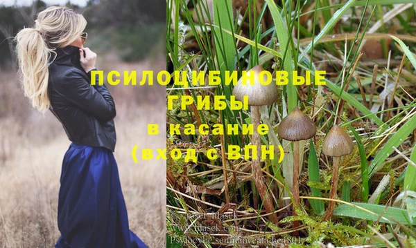 ПСИЛОЦИБИНОВЫЕ ГРИБЫ Михайлов