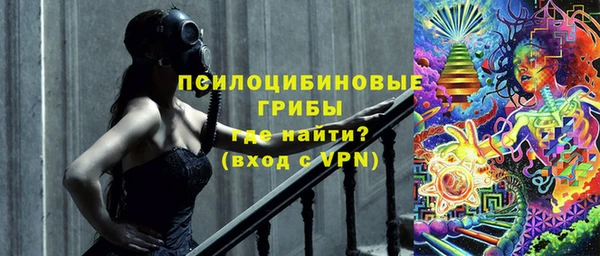 ПСИЛОЦИБИНОВЫЕ ГРИБЫ Михайлов
