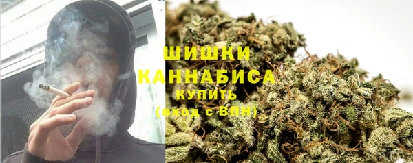 ПСИЛОЦИБИНОВЫЕ ГРИБЫ Михайлов