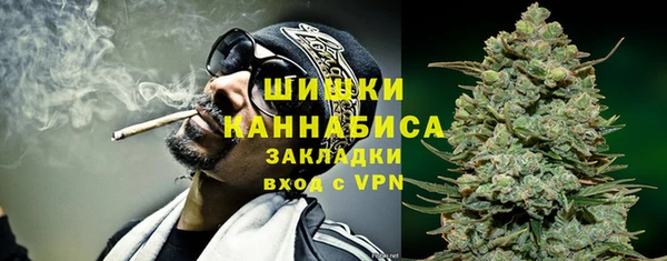 ПСИЛОЦИБИНОВЫЕ ГРИБЫ Михайлов