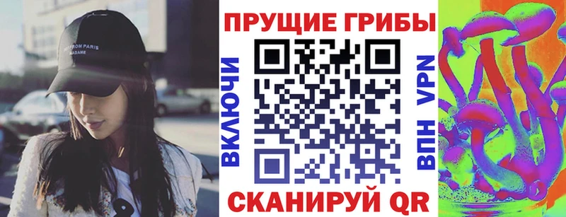 наркота  Петропавловск-Камчатский  Псилоцибиновые грибы мухоморы 