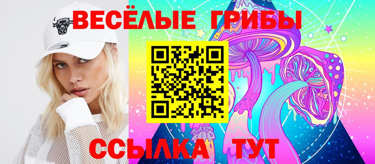 Псилоцибиновые грибы Cubensis Петропавловск-Камчатский