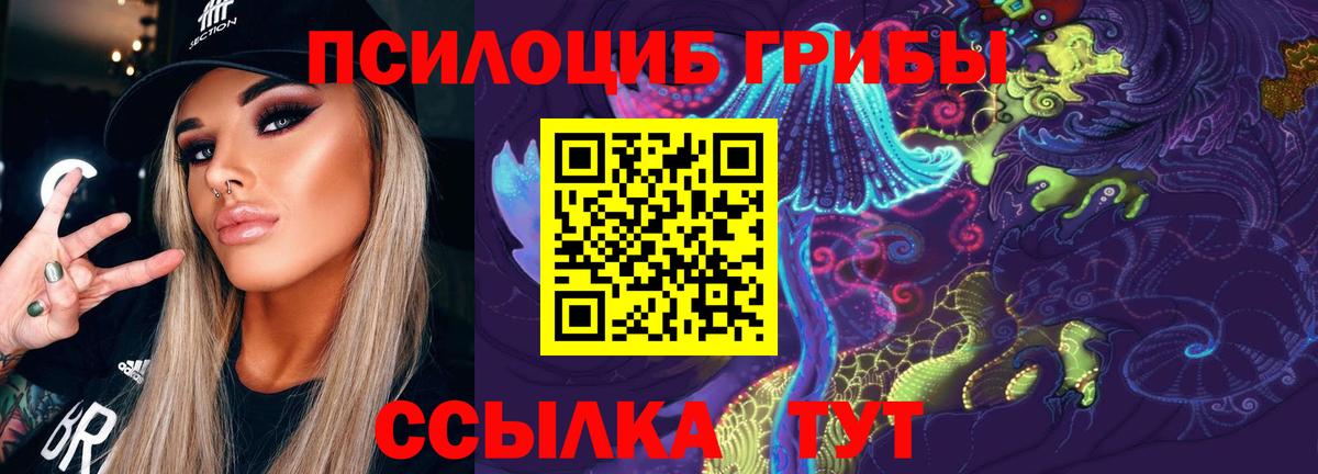 Галлюциногенные грибы Cubensis  Петропавловск-Камчатский  Псилоцибиновые грибы мухоморы 