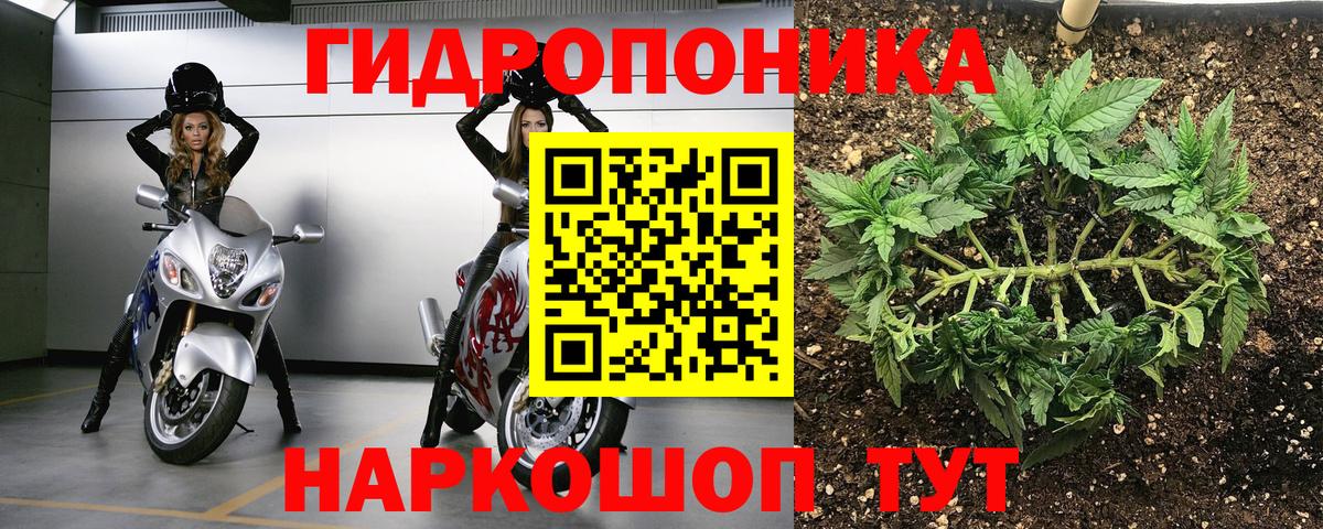 МАРИХУАНА White Widow Петропавловск-Камчатский